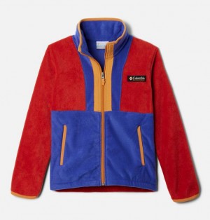 Kids' Columbia Back Bowl™ II Fleece Jackets Red / Blue | US-RXEPQB-901