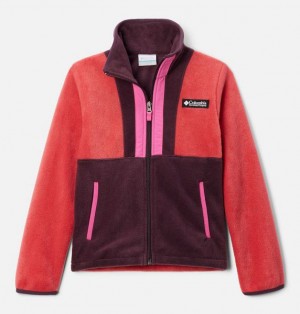 Kids' Columbia Back Bowl™ II Fleece Jackets Pink | US-MFCHKB-638