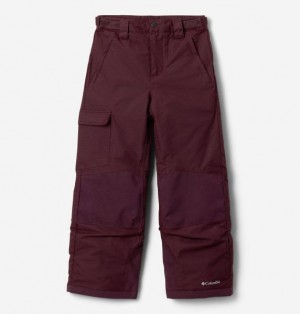 Kids' Columbia Bugaboo™ III Waterproof Ski Pants Burgundy | US-BCWAXE-435