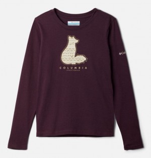 Kids' Columbia Hazeldel Hill™ Long Sleeve Graphic T-Shirt Burgundy | US-ZRBDNV-326