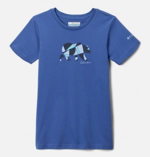 Kids' Columbia Mission Lake™ Graphic Casual Cotton T-Shirt Blue | US-FMRCOU-954