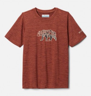 Kids' Columbia Mount Echo™ Technical Graphic T-Shirt Brown | US-LKPOSI-192