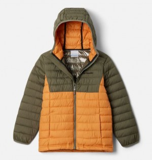 Kids' Columbia Powder Lite™ II Hooded Insulated Jackets Grey / Green | US-AULCNV-962