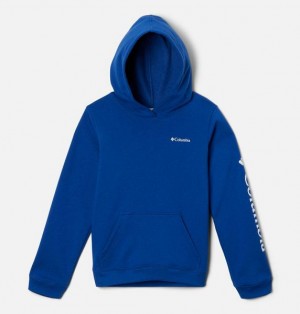 Kids' Columbia Trek™ Hoodie Blue | US-LOQBHP-603