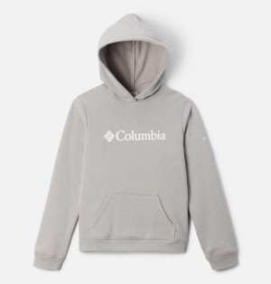 Kids' Columbia Trek™ Hoodie Grey | US-ZARUET-795