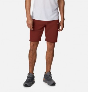 Men Columbia Logo Fleece Shorts Brown | US-QXCABZ-304