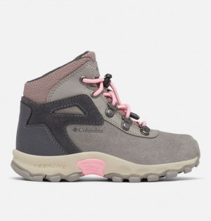 Men Columbia Newton Ridge™ Amped Hiking Boots Pink / Purple | US-CNKLRW-325