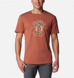 Men Columbia Rapid Ridge™ Graphic T-Shirt Brown | US-YQEIDJ-951