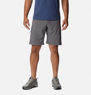 Men Columbia Silver Ridge™ Utility Walking Shorts Grey | US-HBAOCE-149