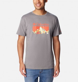 Men Columbia Thistletown Hills™ Graphic T-Shirt Grey | US-DEAPNG-651