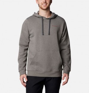 Men Columbia Trek™ Graphic Hoodie Grey | US-VTKBQY-870