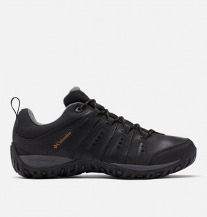 Men Columbia Woodburn™ II Waterproof Shoes Black | US-BTIVEQ-510