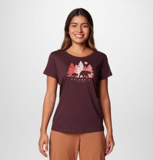 Women Columbia Daisy Days™ Graphic T-Shirt Burgundy | US-AWJPIV-384