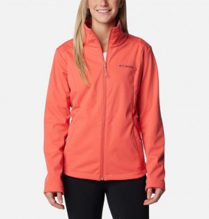 Women Columbia Malta Springs™ Softshell Hiking Jackets Orange | US-XNZFSJ-841