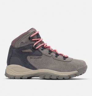 Women Columbia Newton Ridge™ Plus Waterproof Amped Hiking Boots Rose | US-COQSAI-483