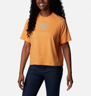 Women Columbia North Cascades™ Relaxed T-Shirt Coral | US-UXYDOF-205