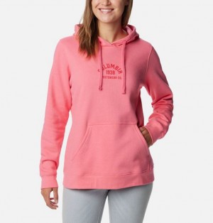 Women Columbia Trek™ Graphic Hoodie Rose / Red | US-KXQUPD-523