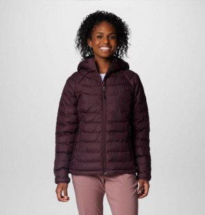 Women Columbia WoPowder Lite™ II Hooded Insulated Jackets Burgundy | US-OUHKVN-297