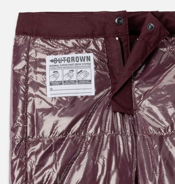 Kids' Columbia Bugaboo™ III Waterproof Ski Pants Burgundy | US-BCWAXE-435