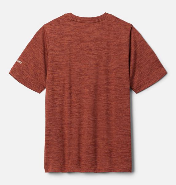 Kids' Columbia Mount Echo™ Technical Graphic T-Shirt Brown | US-LKPOSI-192