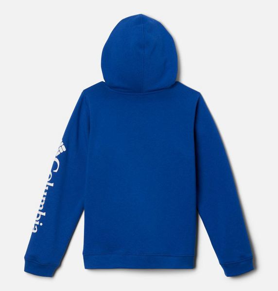 Kids' Columbia Trek™ Hoodie Blue | US-LOQBHP-603