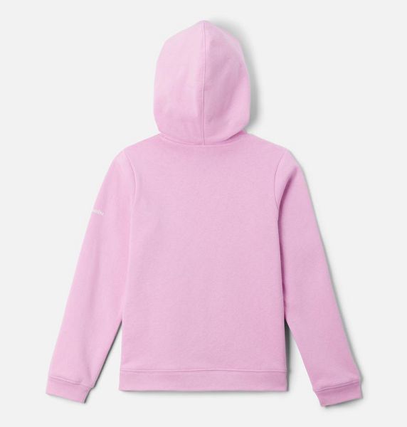 Kids' Columbia Trek™ Hoodie Pink | US-JBQDZN-436