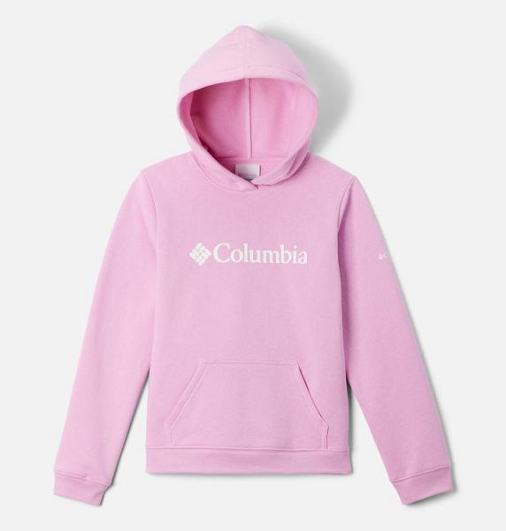 Kids\' Columbia Trek™ Hoodie Pink | US-JBQDZN-436