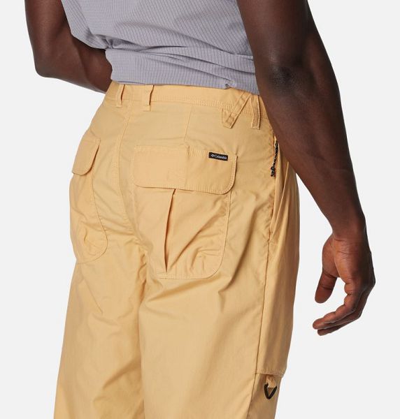 Men Columbia Landroamer™ Cargo Pants Light Brown | US-YVOCRW-297