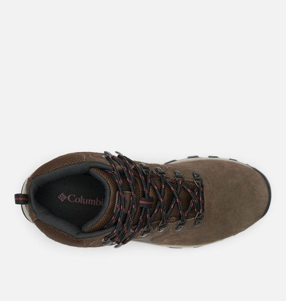 Men Columbia Newton Ridge™ Plus II Suede Waterproof Walking Boots Dark Brown / Brown | US-ZJTQNY-714