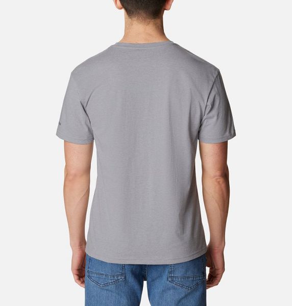 Men Columbia Path Lake™ II Graphic T-Shirt Grey | US-RKCZFI-345