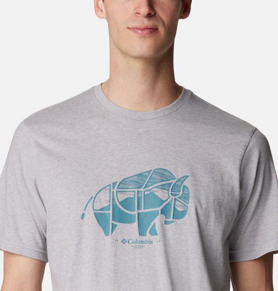 Men Columbia Rockaway River™ Outdoor T-Shirt Grey | US-CVXRWB-576