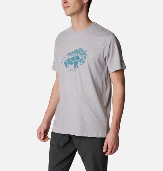 Men Columbia Rockaway River™ Outdoor T-Shirt Grey | US-CVXRWB-576