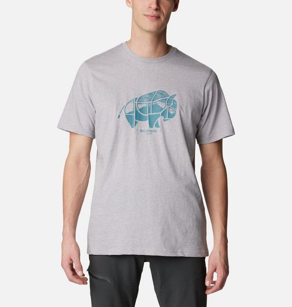 Men Columbia Rockaway River™ Outdoor T-Shirt Grey | US-CVXRWB-576