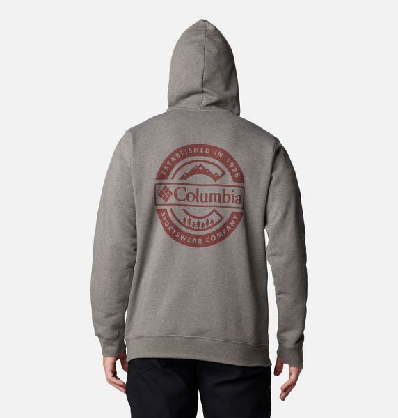 Men Columbia Trek™ Graphic Hoodie Grey | US-VTKBQY-870