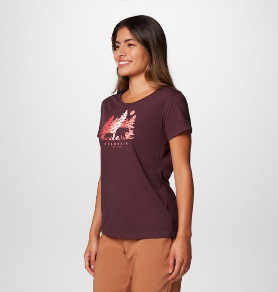 Women Columbia Daisy Days™ Graphic T-Shirt Burgundy | US-AWJPIV-384