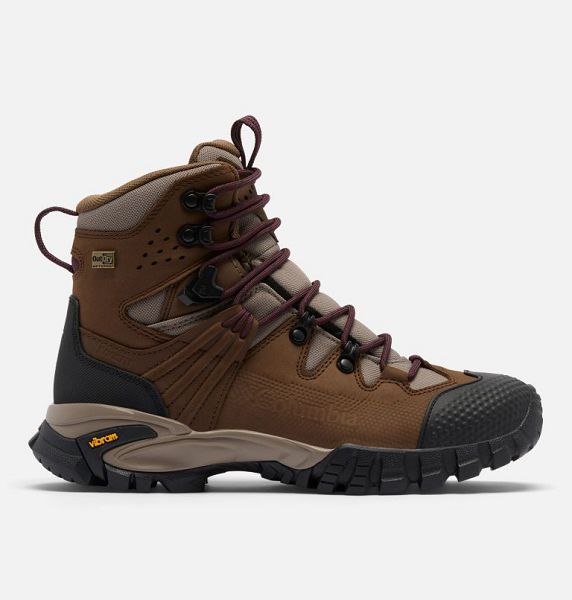 Women Columbia Geoterra Trek™ OutDry™ Leather Hiking Boots Dark Brown | US-FNXLKU-728