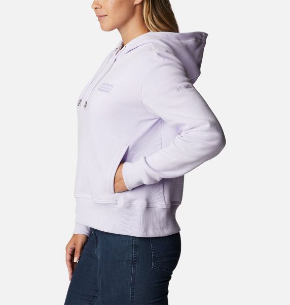 Women Columbia Lodge™ Hoodie Purple | US-PHAJYU-780