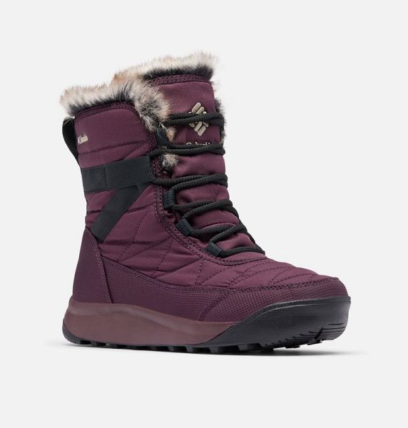 Women Columbia Minx™ y IV Waterproof Snow Boots Brown | US-REVKDA-278