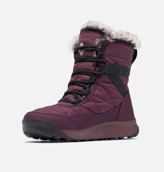 Women Columbia Minx™ y IV Waterproof Snow Boots Brown | US-REVKDA-278