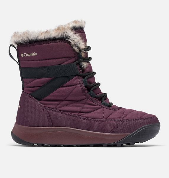 Women Columbia Minx™ y IV Waterproof Snow Boots Brown | US-REVKDA-278