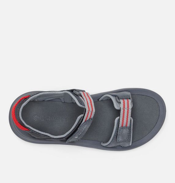 Women Columbia WoTrailstorm™ Hiker 2 Strap Sandals Deep Grey / Red | US-CQZOMN-986